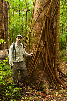 Marzo 2010, Parque Nacional de Mapleton Falls, Queensland, Australia