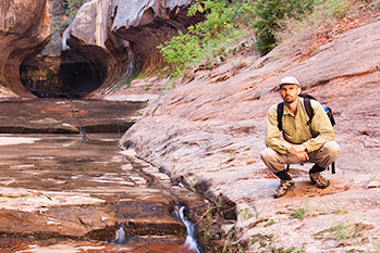 October 2010, Zion National Park, UT, USA