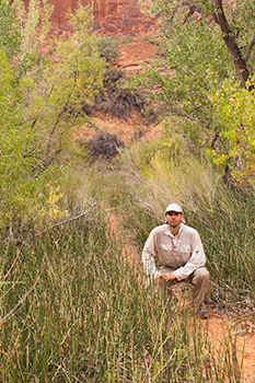 Octubre 2011, Monumento Nacional de Grand Staircase - Escalante, Utah, EE.UU.