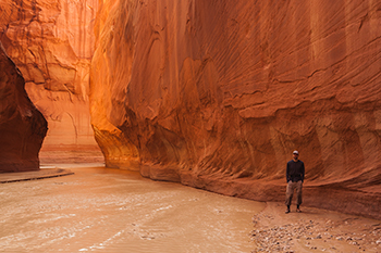 October 2011, Vermilion Cliffs National Monument, AZ, USA