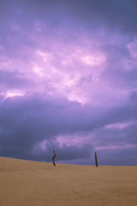 Great Sandy National Park, QLD, Australia