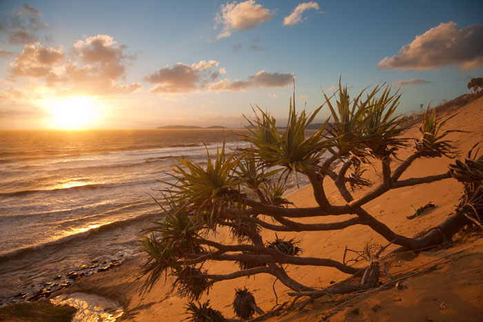 Great Sandy National Park, QLD, Australia