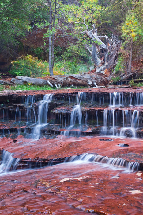 Parque Nacional de Zion, Utah, EE.UU.