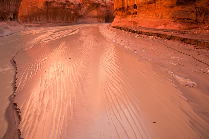 Paria Canyon Wilderness, Vermilion Cliffs National Monument, AZ, USA
