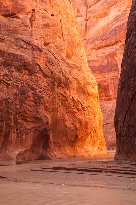 Paria Canyon Wilderness, Vermilion Cliffs National Monument, AZ, USA
