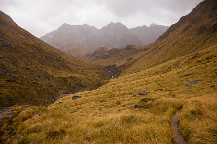 Mount Aspiring National Park, South Island, New Zealand
