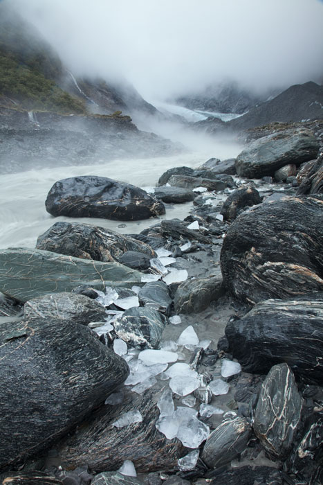 Westland National Park, South Island, New Zealand