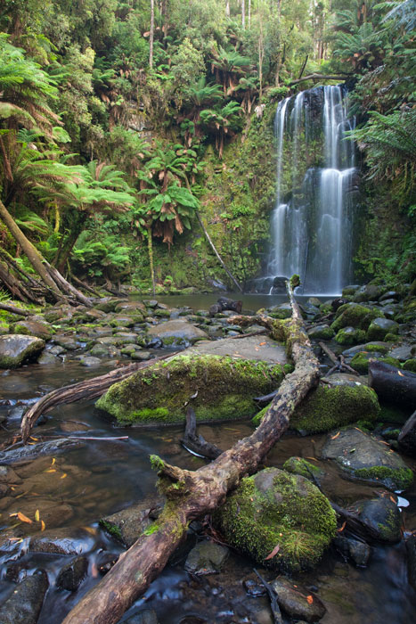 Great Otway National Park, VIC, Austalia