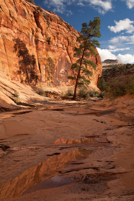 Monumento Nacional de Grand Staircase - Escalante, Utah, EE.UU.