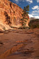 Grand Staircase - Escalante National Monument, UT, USA