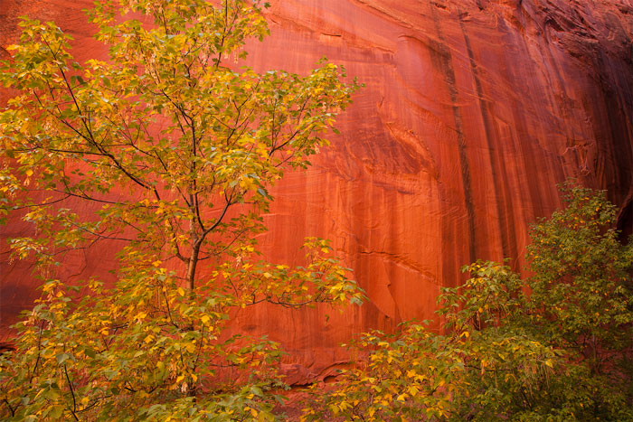 Monumento Nacional de Grand Staircase - Escalante, Utah, EE.UU.