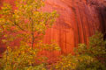 Grand Staircase - Escalante National Monument, UT, USA