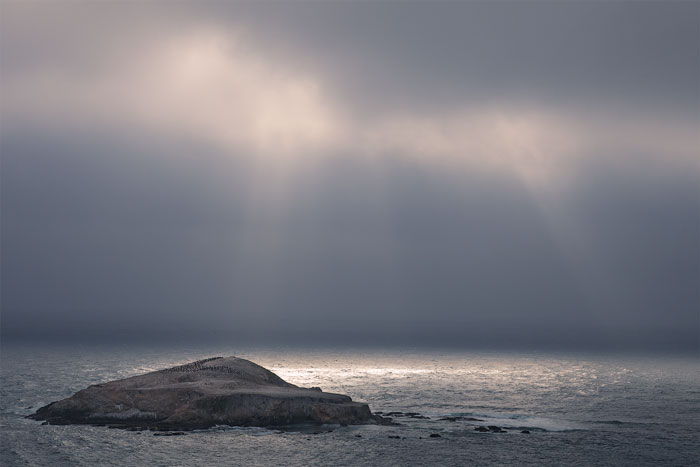 Point Reyes National Seashore, CA, USA