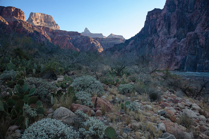 Grand Canyon National Park, AZ, USA