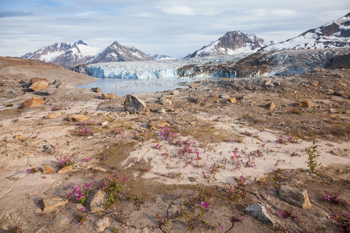 Wrangell - Saint Elias National Park, AK, USA